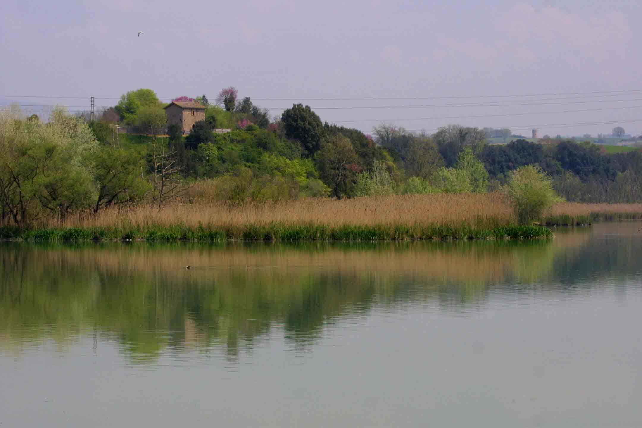 Laghi....del LAZIO